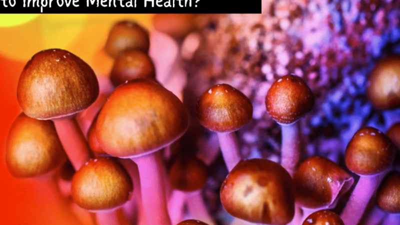 Psilocybin – Magic Mushrooms that heal spirit